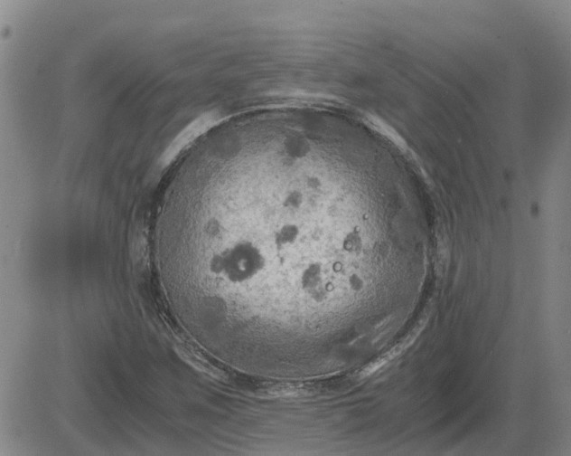 X0000084031259200703022113