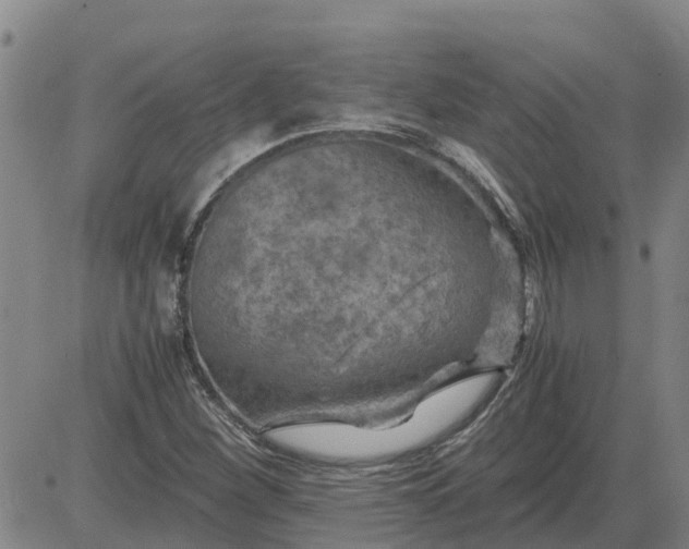 X0000084031260200703022113