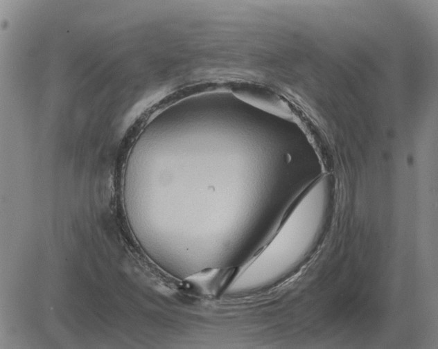 X0000084031261200703022113