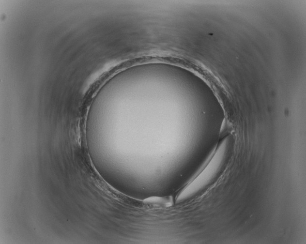 X0000084031262200703022113