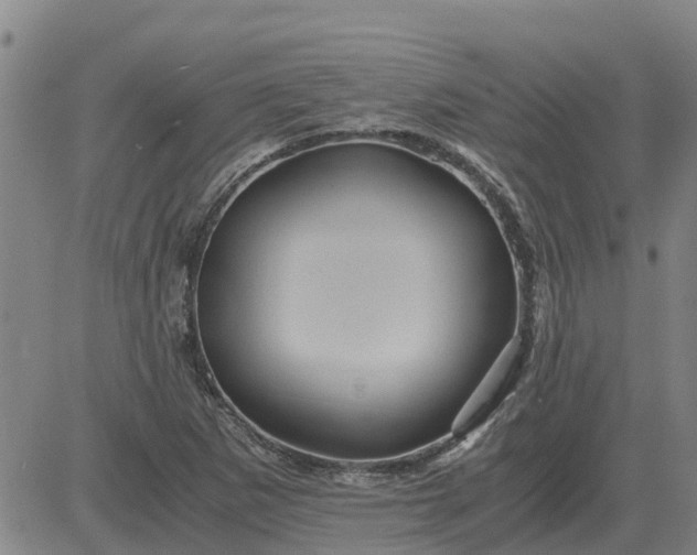 X0000084031265200703022113