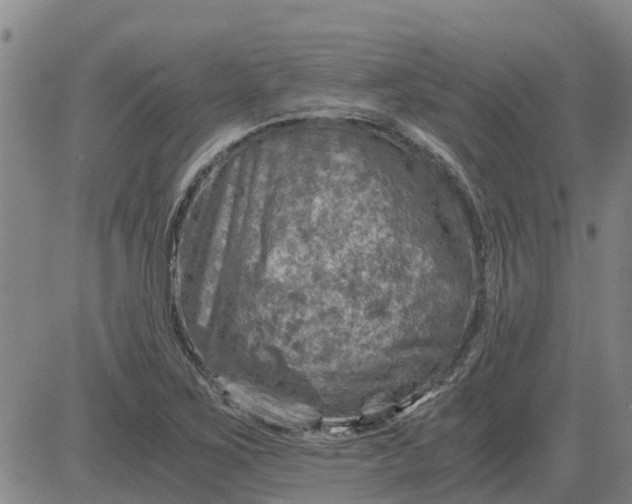 X0000084031267200703022113