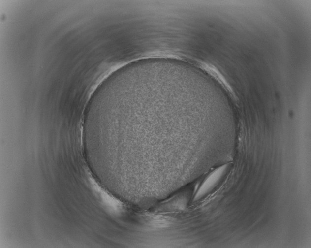 X0000084031268200703022113