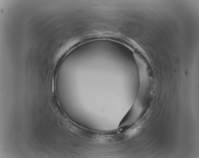 X0000084031269200703022113