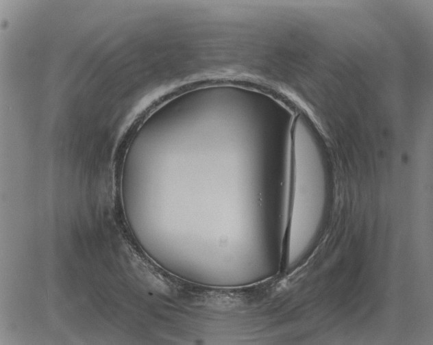 X0000084031270200703022113