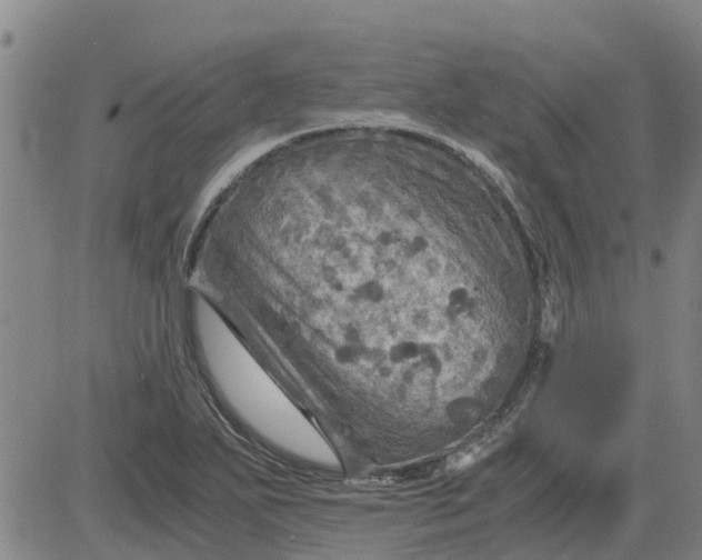 X0000084031271200703022113