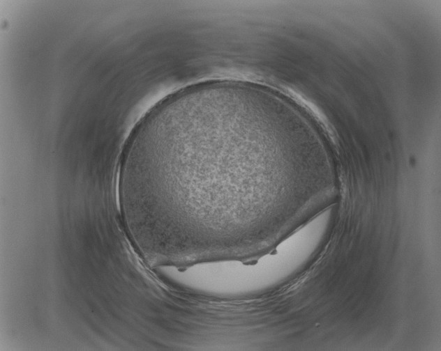 X0000084031272200703022113