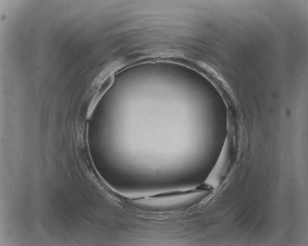 X0000084031273200703022113