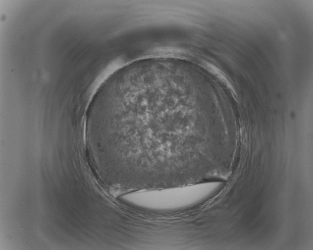 X0000084031275200703022113