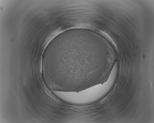 X0000084031276200703022113