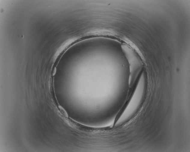 X0000084031277200703022113