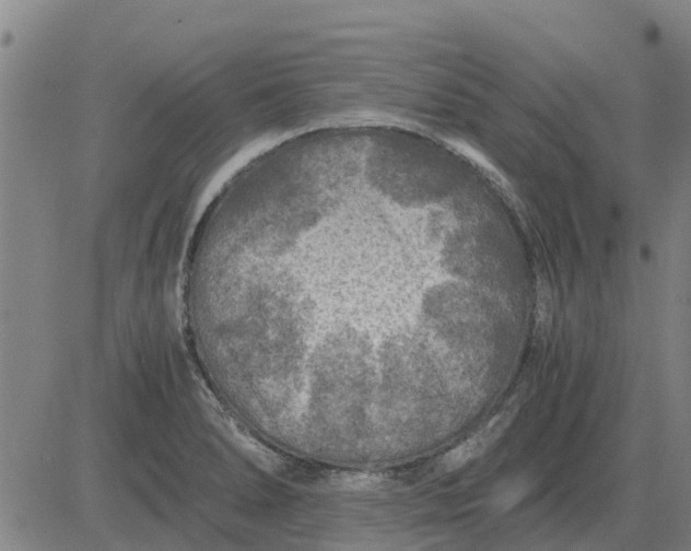 X0000084031278200703022113