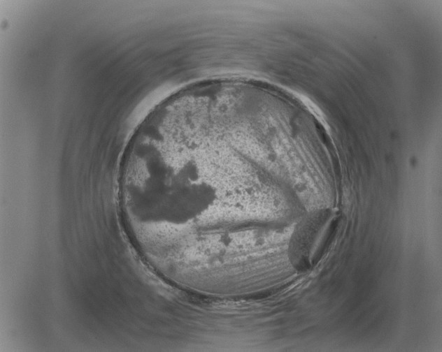 X0000084031279200703022113