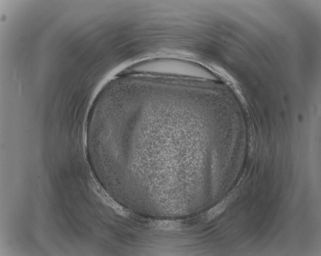 X0000084031280200703022113