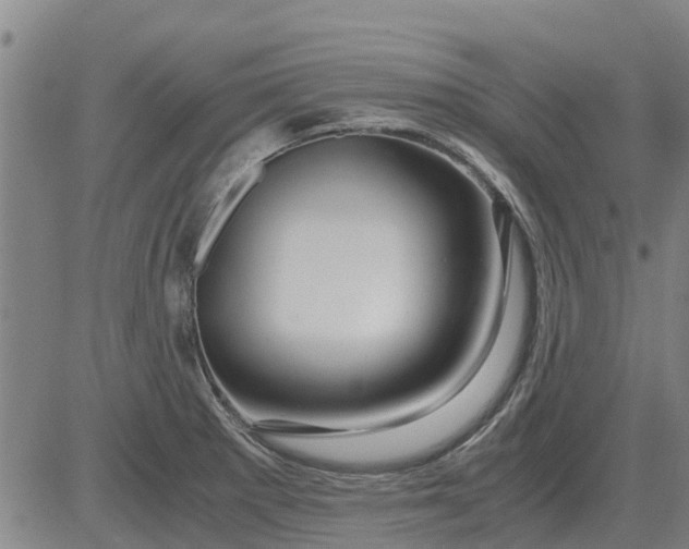 X0000084031281200703022113