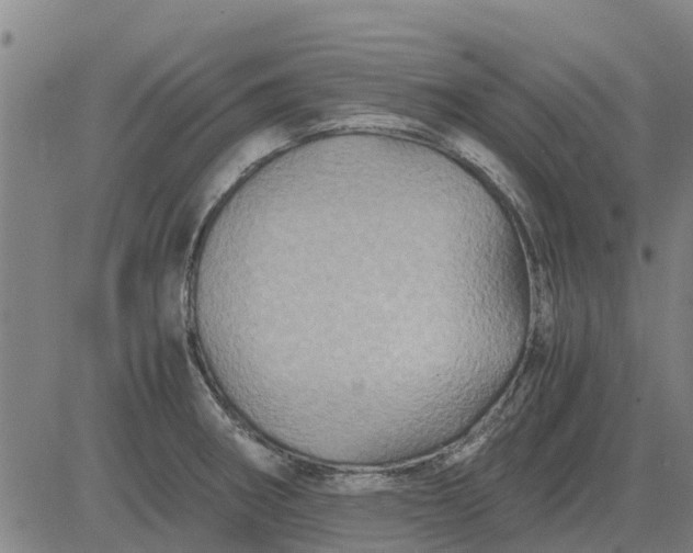 X0000084031282200703022113