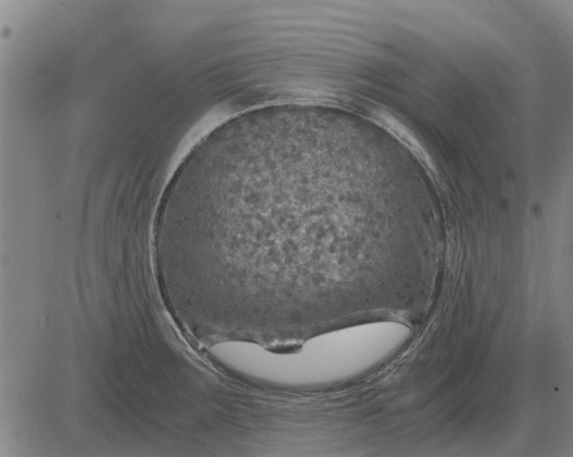 X0000084031283200703022113