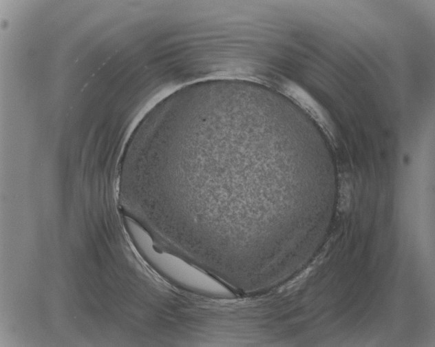 X0000084031284200703022113