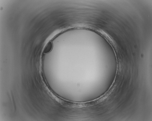 X0000084031286200703022113