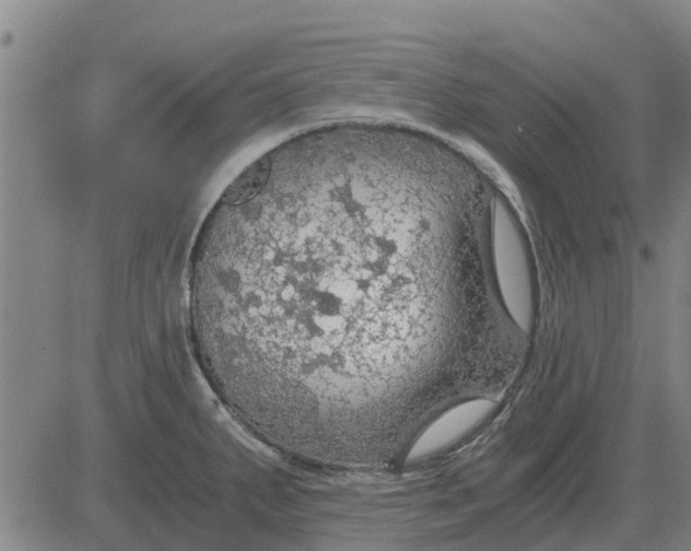 X0000084031287200703022113