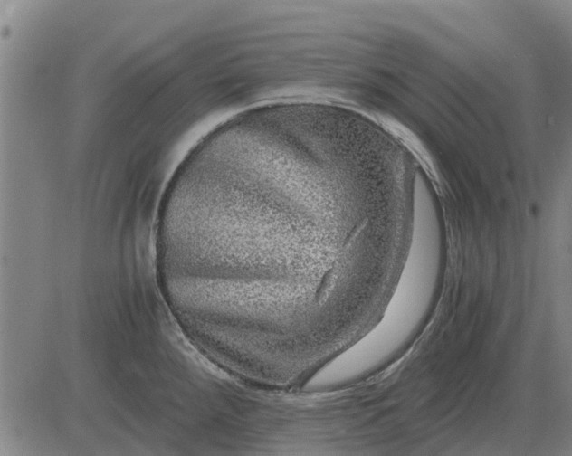 X0000084031288200703022113