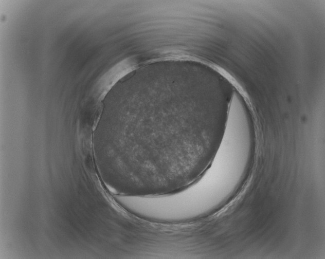 X0000084031289200703022113