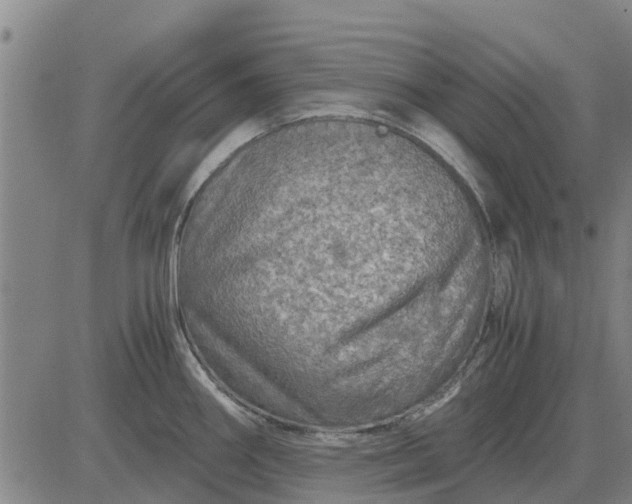 X0000084031290200703022113