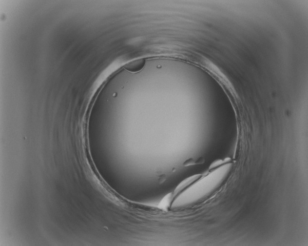 X0000084031291200703022113