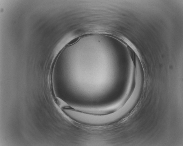 X0000084031293200703022113