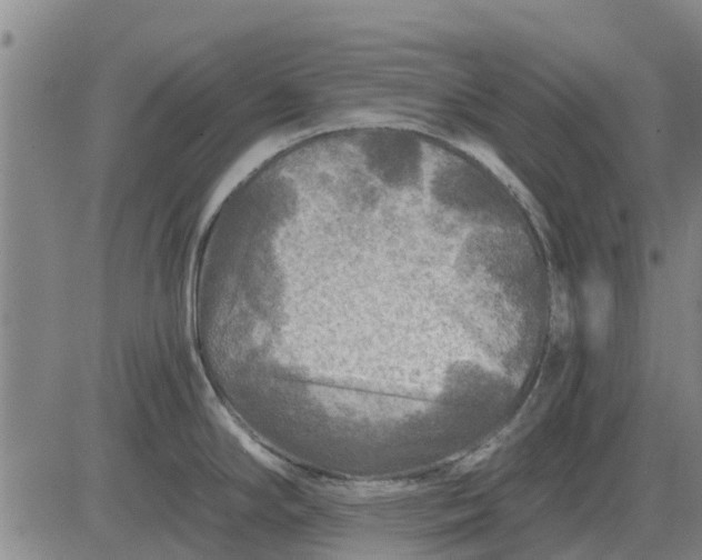 X0000084031294200703022113