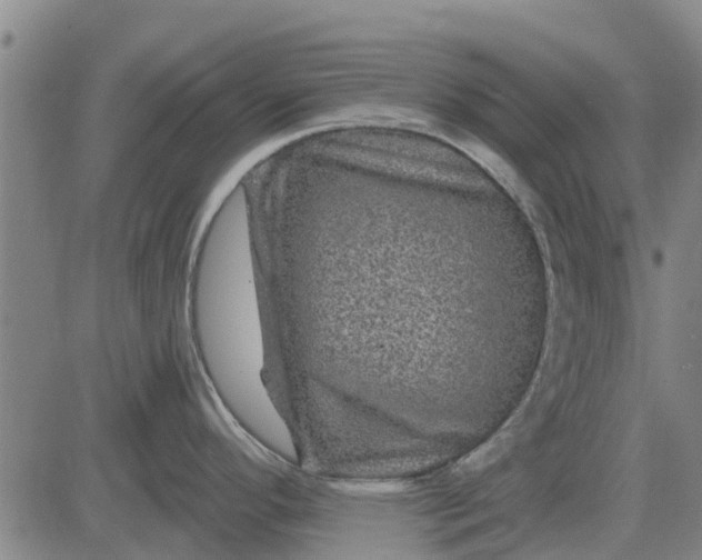 X0000084031296200703022113