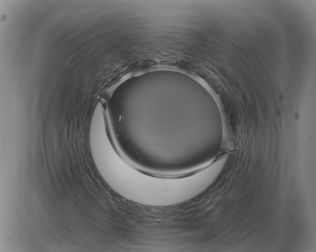 X0000084031298200703022112