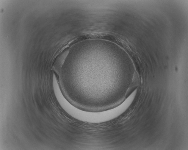 X0000084031300200703022112