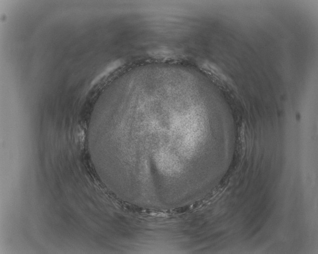 X0000084031302200703022112