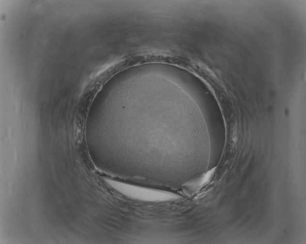 X0000084031303200703022112