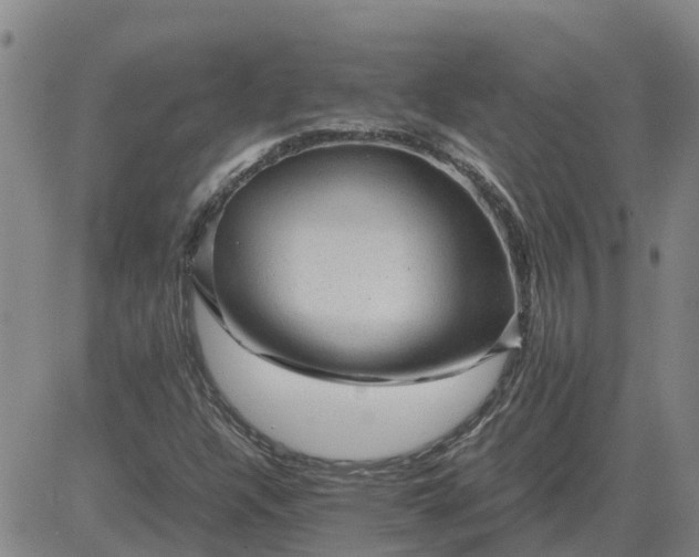 X0000084031304200703022112