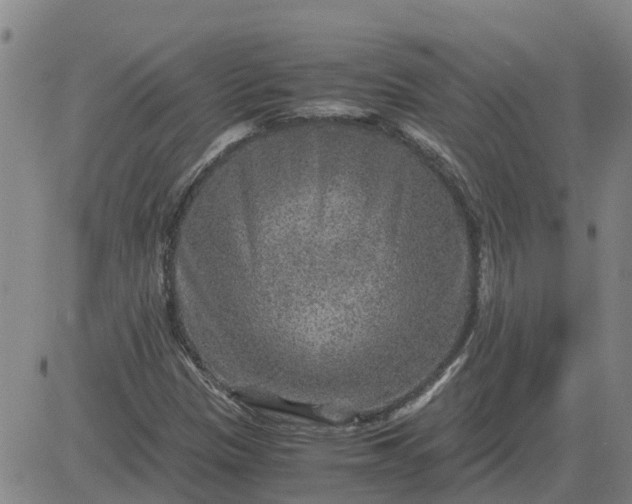 X0000084031305200703022112