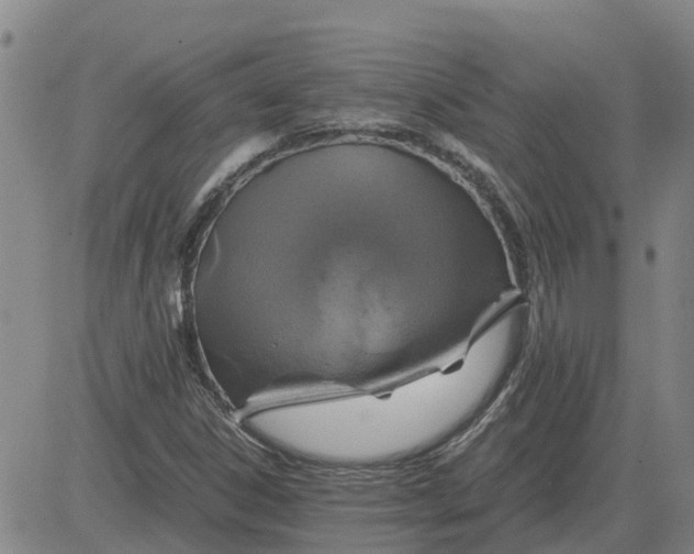 X0000084031306200703022112