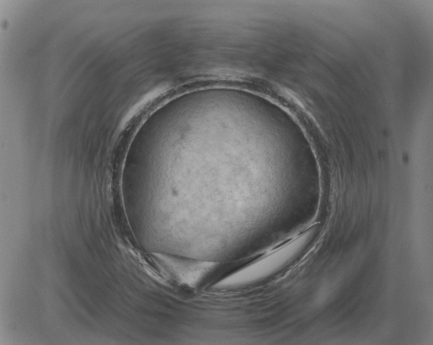 X0000084031307200703022112