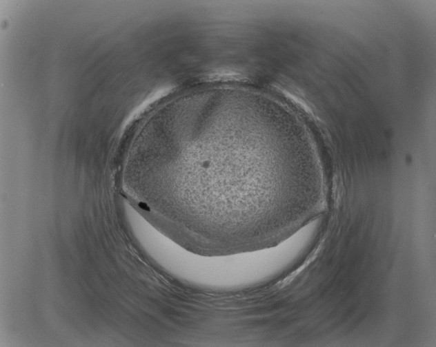 X0000084031309200703022112