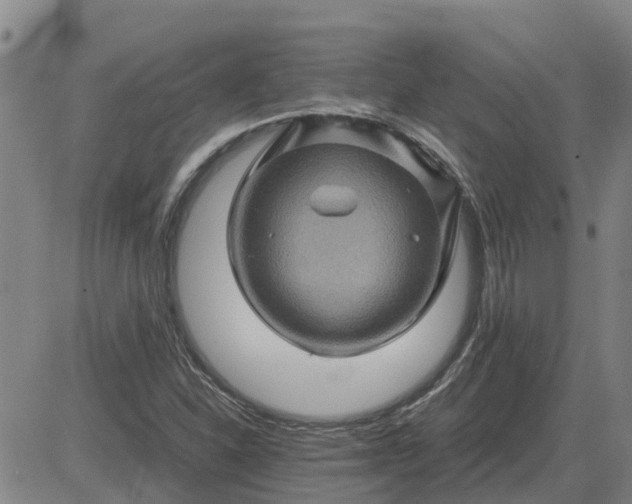 X0000084031310200703022112