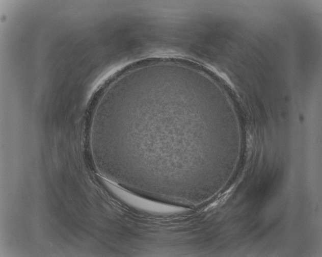 X0000084031311200703022112