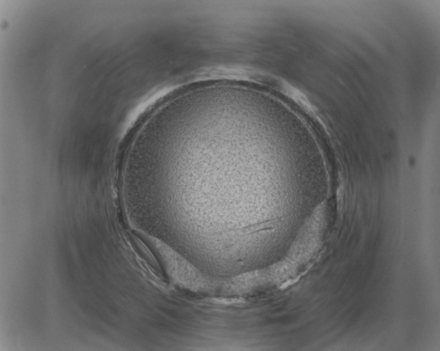 X0000084031312200703022112