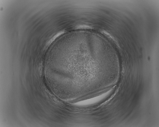 X0000084031313200703022112