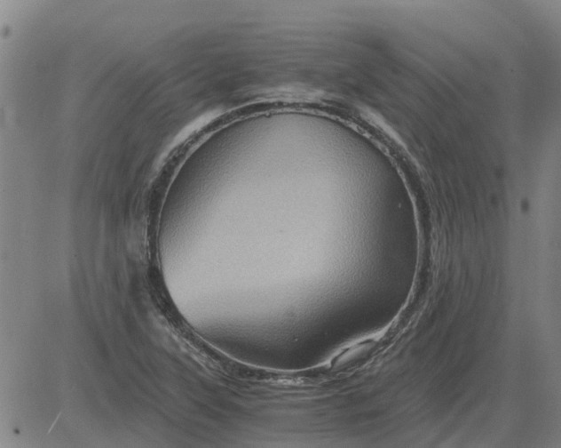 X0000084031315200703022112