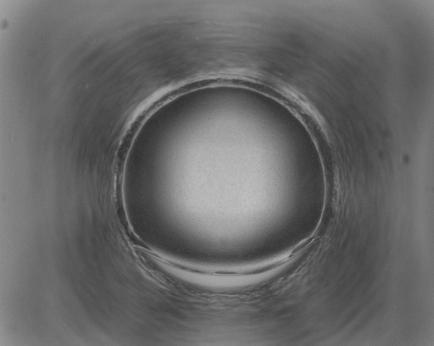 X0000084031316200703022112