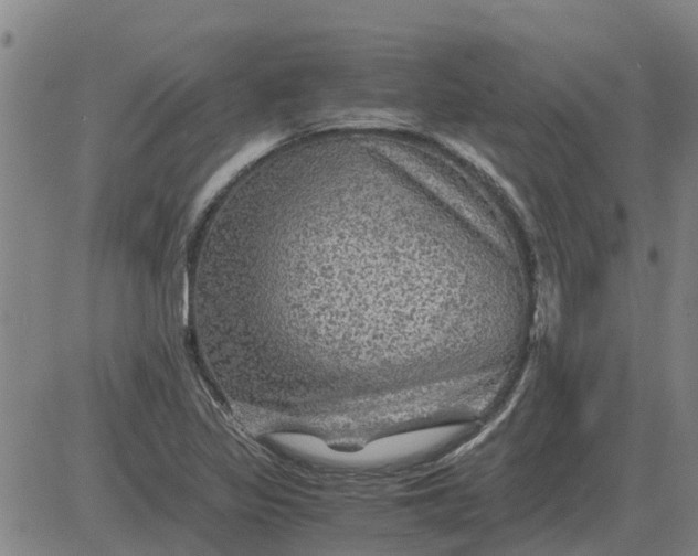 X0000084031317200703022112