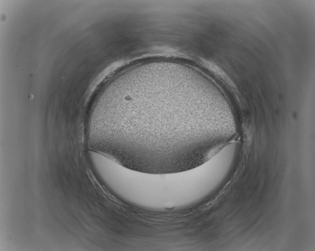 X0000084031318200703022112