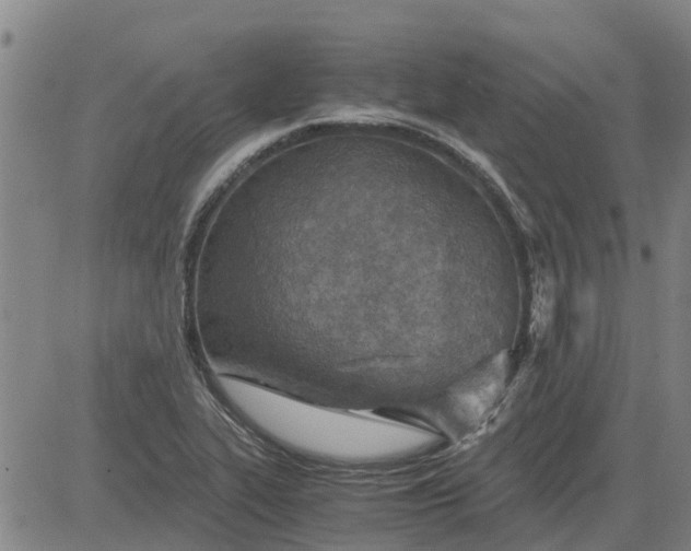 X0000084031319200703022112