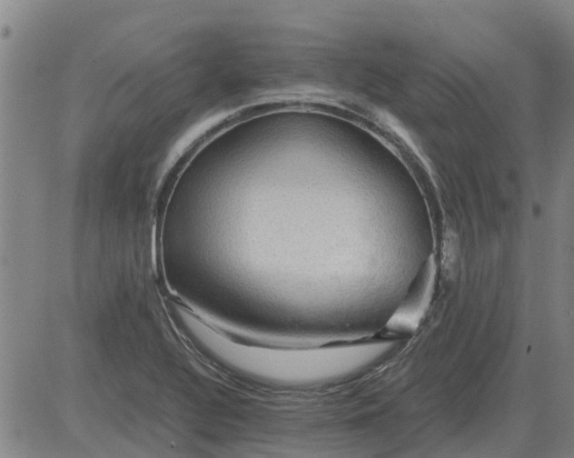 X0000084031320200703022112